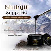 Shilajit Resin – 100g (200 Servings)